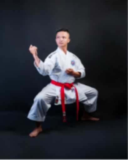Picture of karate